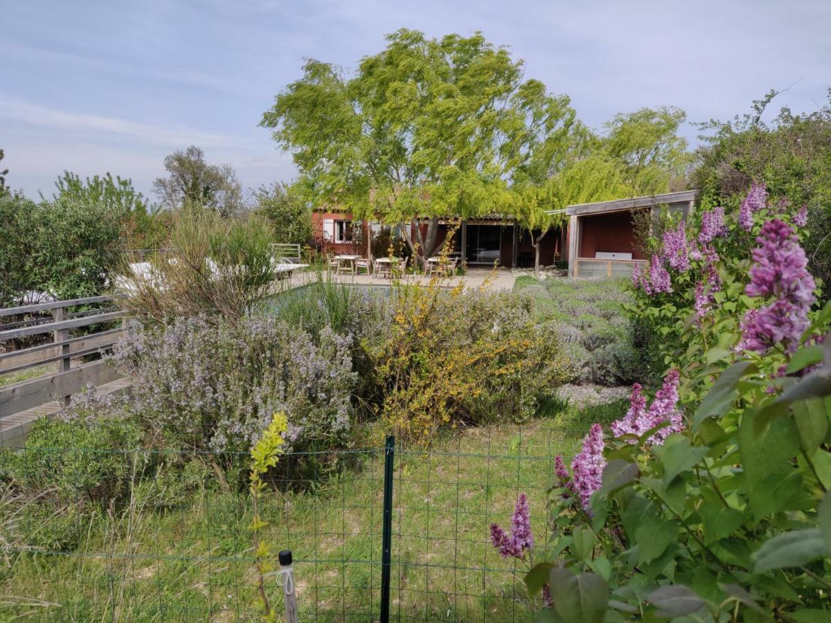 לינה וארוחת בוקר Les Terrasses De וואלנסול מראה חיצוני תמונה