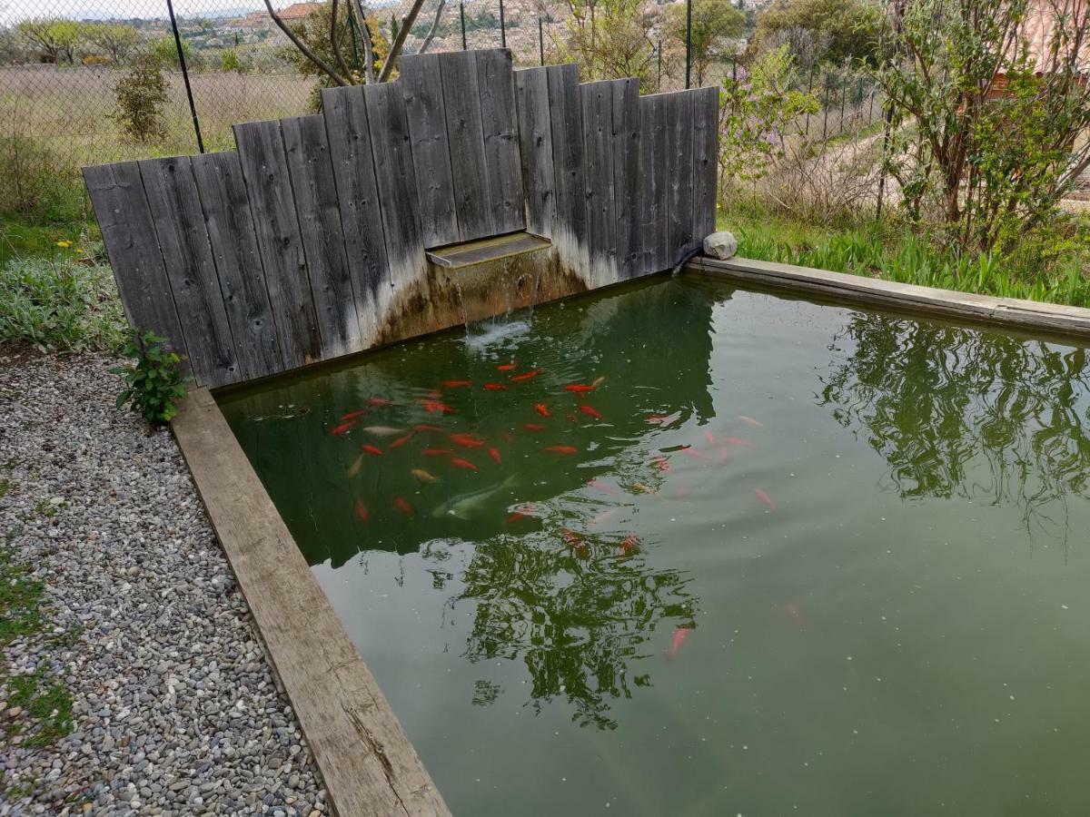 לינה וארוחת בוקר Les Terrasses De וואלנסול מראה חיצוני תמונה